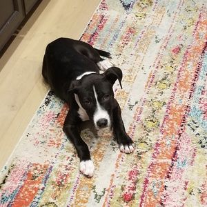 Meet your Posher, Valerie